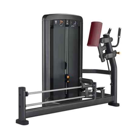 Attrezzatura per glutei