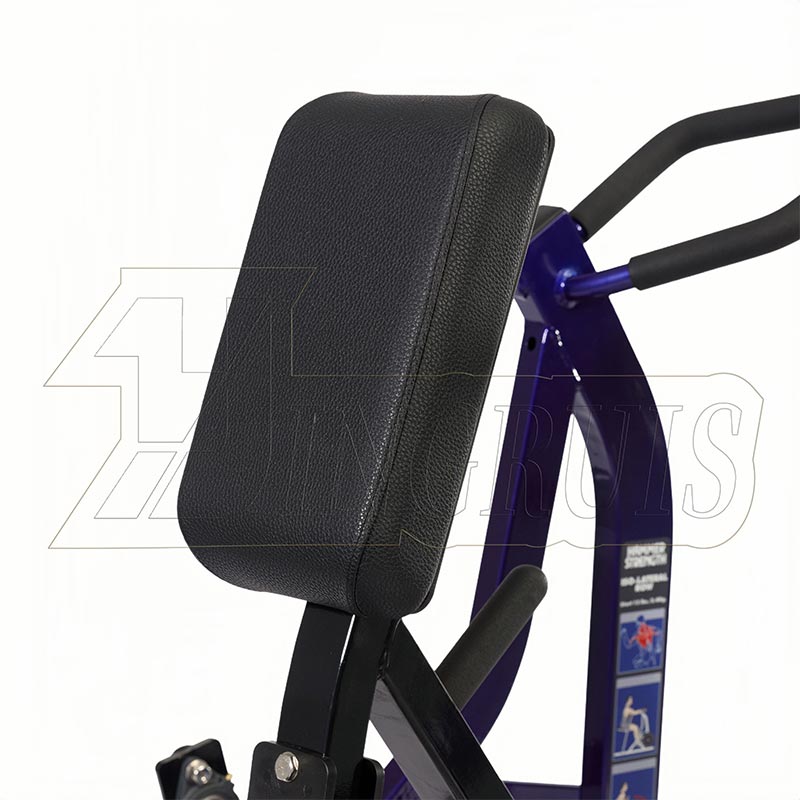 ISO-Lateral Row
