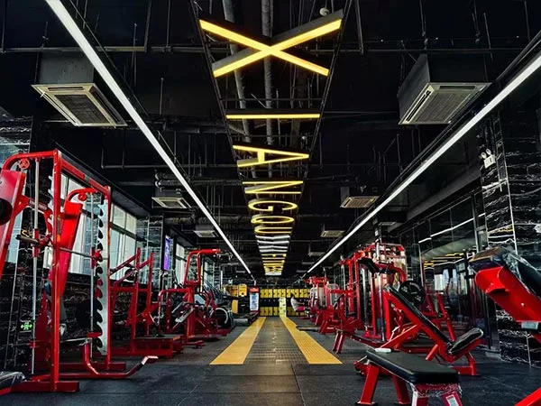 Commercial Gym