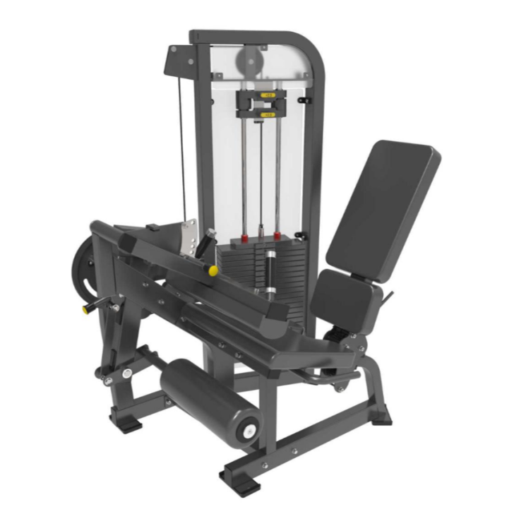 Estensione della gamba Leg Curl
