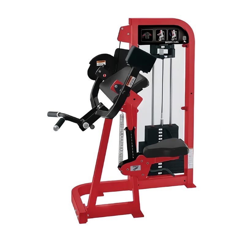 Seleziona la macchina per curl bicipiti